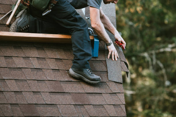 Best Roof Maintenance and Cleaning  in Big Rock, IL